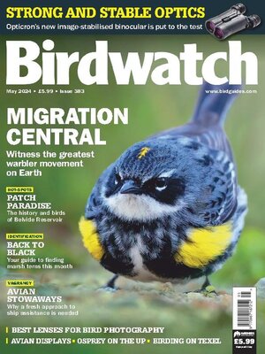 cover image of Birdwatch